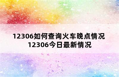 12306如何查询火车晚点情况 12306今日最新情况